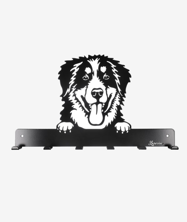 HWG-28_Berner_Sennenhund_leinenhalter_wandgarderobe_a