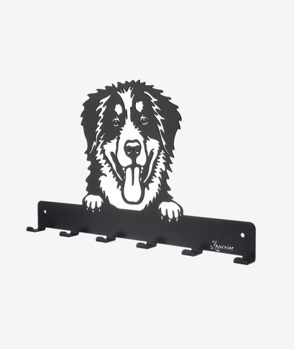 HWG-28_Berner_Sennenhund_leinenhalter_wandgarderobe_b